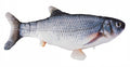 Duvo+ Catch 'n play vis