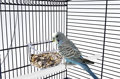 Imac Voerbakje lori
