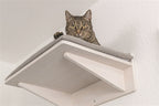 Trixie Ligplateau met kussen voor muurlandschap wit