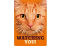 Plenty gifts Waakbord blik rode kat watching you