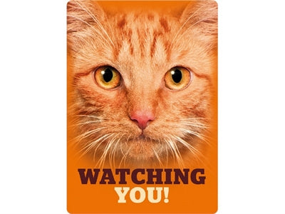 Plenty gifts Waakbord blik rode kat watching you