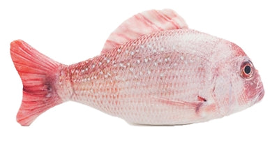 Jolly moggy Moggy Moggy natural catnip red snapper