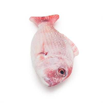 Jolly moggy Moggy Moggy natural catnip red snapper