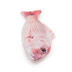 Jolly moggy Moggy Moggy natural catnip red snapper