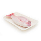 Jolly moggy Moggy Moggy natural catnip red snapper