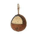 Suet to go Hele kokosnoot met meelworm