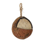 Suet to go Hele kokosnoot met meelworm