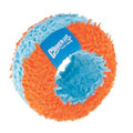 Chuckit Indoor roller