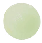 Chuckit max glow bal glow in the dark