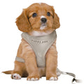 Trixie Hondentuig junior puppy softtuig met riem lichtgrijs