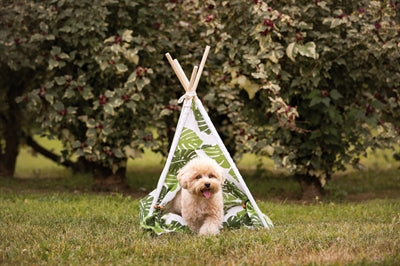 Croci Teepee jungle