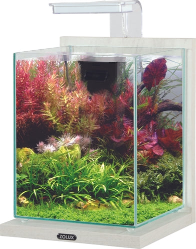 Zolux Aquarium kit jalaya 2 wit limewash