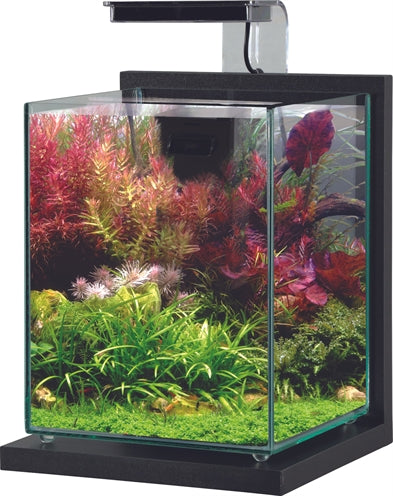 Zolux - aquarium kit jalaya 2 antraciet