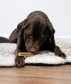 Cupid & comet Christmas stick trio zonder buffelhuid