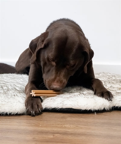 Cupid & comet Christmas stick trio zonder buffelhuid
