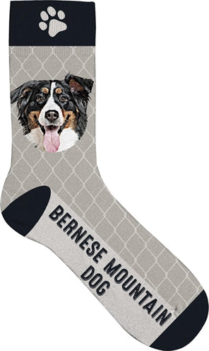 Plenty gifts Sokken sennerhond grijs