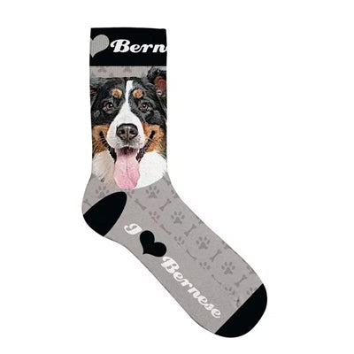 Plenty gifts Sokken sennerhond grijs