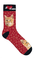 Plenty gifts Sokken oranje katten rood