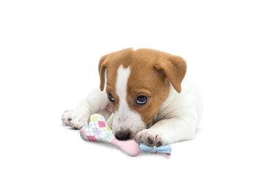 Zolux Puppy tiny pluche bot roze