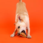 Outward hound Xtreme seamz leeuw