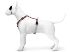 Morso hondentuig h-tuig gerecycled skyline rood roze