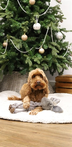 Cupid & comet Xmas festive ezel met flostouw lijf