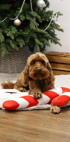 Cupid & comet Xmas candy cane met flostouw kern