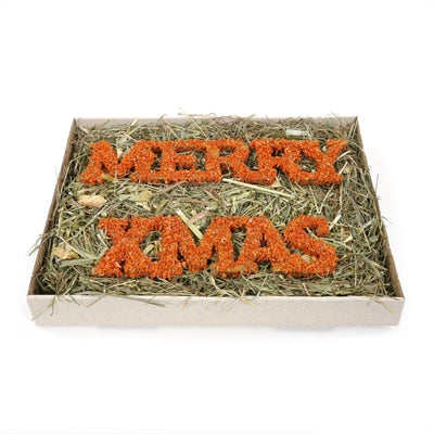 Cupid & comet Merry christmas forage tray