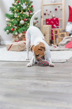 trixie xmas flostouw candy cane