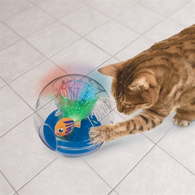 kong bat-a-bout aquarium met catnip