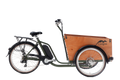 Cangoo | Bakfiets | Cangoo Easy-E | Staal | Groen