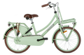 popal | meisjesfiets | daily dutch basic 20 | staal | pistache