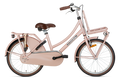 popal | meisjesfiets | daily dutch basic 20 | staal | zalm
