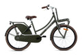 popal | meisjesfiets | daily dutch basic 24 | staal | groen