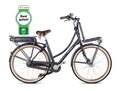Popal | E-bike | Daily Dutch Prestige-E | Aluminium | K187