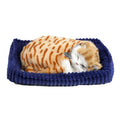 Perfect petzzz soft orange tabby (92547)
