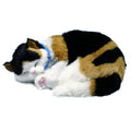 Perfect petzzz perfect petzzz soft lapjeskat