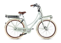 Popal | E-bike | Daily Dutch Prestige-E N7 | Aluminium | K1