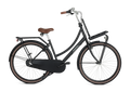 Popal Damesfiets daily dutch basic+ staal k63