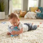 Fisher Price Chill Vibes Walrus Soother