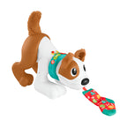 Fisher price crawl with me puppy + licht en geluid