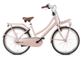 Popal Meisjesfiets daily dutch basic+ 24 staal k5