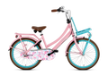 Popal Meisjesfiets daily dutch basic+ 22 staal k66