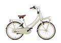 Popal Meisjesfiets daily dutch basic+ 22 staal -