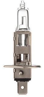 Lamp 12V-55W H1