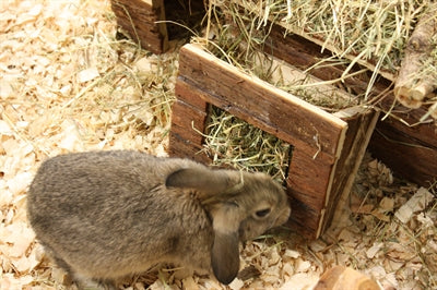 Nature first Raw houten hooiruif