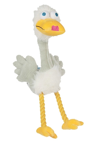 Happy pet Bird brain zwaan