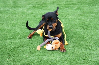 Happy pet Pull my leg pluche paard