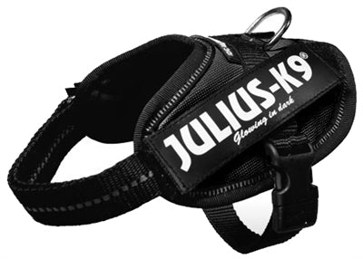 Julius k9 Idc power-harnas tuig voor labels zwart