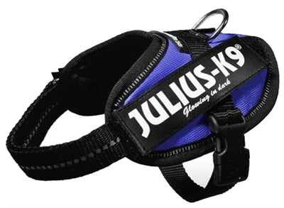 Julius k9 Power-harnas / tuig voor labels blauw